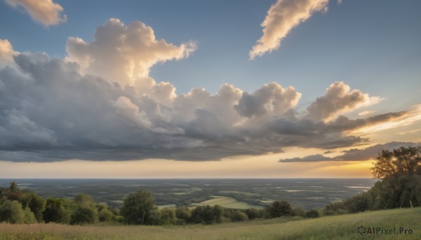 outdoors,sky,day,cloud,water,tree,blue sky,no humans,ocean,cloudy sky,grass,nature,scenery,forest,sunset,horizon,landscape,beach