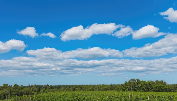 outdoors,sky,day,cloud,tree,blue sky,no humans,cloudy sky,grass,nature,scenery,forest,field,landscape,signature