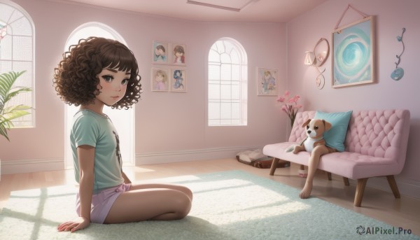 1girl,solo,looking at viewer,blush,short hair,bangs,brown hair,shirt,brown eyes,sitting,closed mouth,full body,flower,short sleeves,shorts,barefoot,day,indoors,black eyes,from side,lips,looking to the side,pillow,book,short shorts,bare legs,window,shadow,arm support,wavy hair,stuffed toy,table,sunlight,stuffed animal,plant,t-shirt,couch,backlighting,curly hair,dog,teddy bear,wooden floor,green shirt,on floor,clock,potted plant,shade,on couch,photo (object),cushion,vase,picture frame,pink shorts,rug,aqua shirt,smile,bed,lamp,bedroom