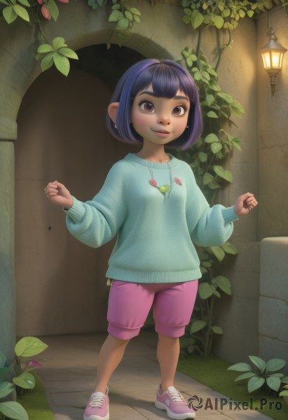 1girl,solo,looking at viewer,smile,short hair,bangs,black hair,long sleeves,brown eyes,jewelry,closed mouth,standing,full body,purple hair,outdoors,shoes,shorts,pointy ears,sweater,lips,leaf,bob cut,plant,sneakers,child,clenched hands,lantern,pink footwear,female child,blue sweater,pink shorts,w arms,purple shorts,shirt,earrings,artist name