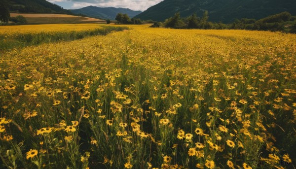 flower,outdoors,sky,day,cloud,tree,no humans,cloudy sky,grass,nature,scenery,mountain,yellow flower,field,flower field,landscape,mountainous horizon,blue sky,forest