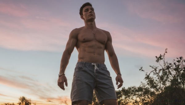 An iconic male framed by a bold sunset outdoors