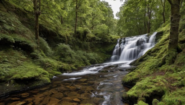 outdoors,day,water,tree,no humans,grass,nature,scenery,forest,rock,river,waterfall,landscape,moss,stream,sky