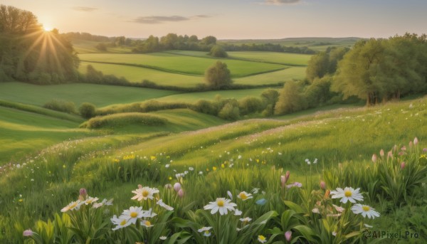The allure of a landscape in a dynamic sunset day