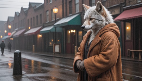 long sleeves,1boy,animal ears,jewelry,jacket,male focus,outdoors,solo focus,hood,necklace,blurry,black eyes,coat,depth of field,blurry background,animal,hood down,building,furry,reflection,rain,brown jacket,lantern,city,road,furry male,white fur,brown coat,lamppost,street,paper lantern,grey fur,brown eyes,standing,no humans,window,umbrella,own hands together,scenery,1other,robe,realistic,multiple others,power lines,wolf,ambiguous gender,2others,people,3others,hooded robe