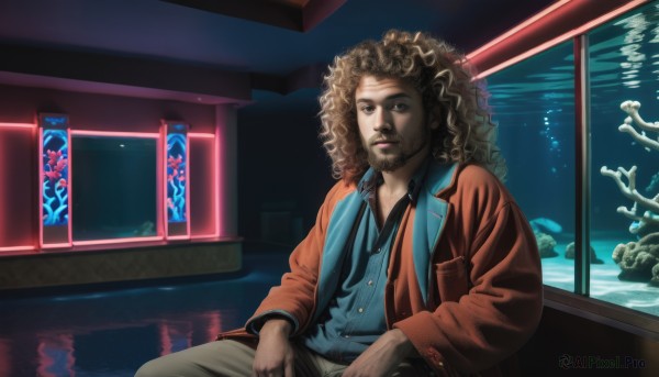 solo,looking at viewer,brown hair,shirt,long sleeves,1boy,brown eyes,sitting,jacket,male focus,japanese clothes,pants,indoors,dark skin,water,lips,window,facial hair,blue shirt,beard,reflection,fish,curly hair,afro,aquarium,long hair,open clothes,vest,open jacket,red jacket,brown jacket,underwater,mustache,stubble,goatee,jellyfish,turtle,coral