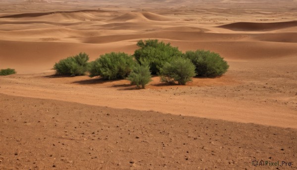 The serene presence of a landscape in a peaceful day