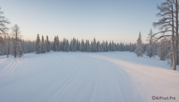 outdoors,sky,day,tree,blue sky,no humans,nature,scenery,snow,forest,sunset,mountain,winter,bare tree,landscape,gradient sky,sunrise,pine tree,cloud,watermark,fog,morning