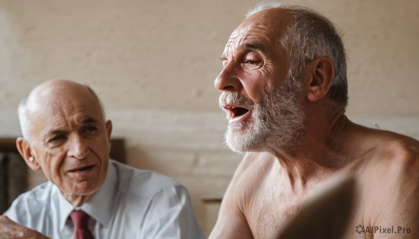 open mouth,shirt,white shirt,upper body,white hair,grey hair,male focus,multiple boys,necktie,collared shirt,indoors,2boys,blurry,looking at another,bed,facial hair,parody,red necktie,beard,meme,realistic,mustache,bald,manly,old,chest hair,old man,what,real life insert,wrinkled skin,smile,1boy,nude,black eyes