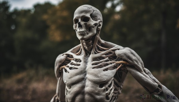 solo,looking at viewer,1boy,upper body,male focus,outdoors,teeth,blurry,tree,no humans,blurry background,1other,skull,ribs,skeleton,bone,horror (theme),muscular,realistic