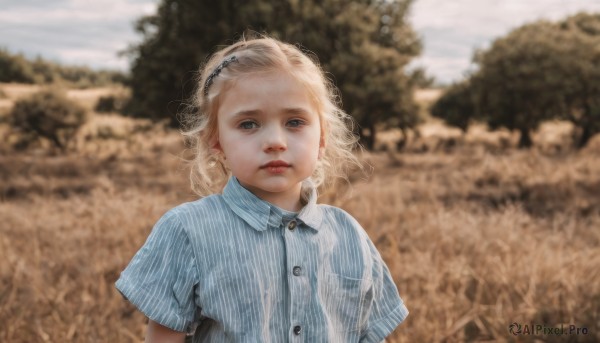 1girl,solo,looking at viewer,short hair,blue eyes,blonde hair,shirt,upper body,short sleeves,hairband,outdoors,parted lips,day,striped,collared shirt,blurry,tree,lips,buttons,depth of field,blurry background,blue shirt,child,striped shirt,realistic,female child,field,vertical-striped shirt