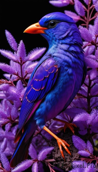 solo,looking at viewer,closed mouth,full body,flower,blurry,black eyes,from side,pokemon (creature),no humans,depth of field,bird,animal,black background,purple flower,branch,animal focus,talons,beak,wisteria,outdoors,tree,night,realistic