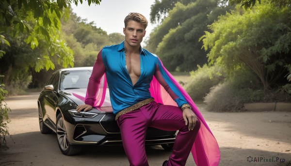 HQ,solo,looking at viewer,short hair,blonde hair,brown hair,shirt,1boy,brown eyes,jewelry,sitting,male focus,outdoors,open clothes,day,belt,pants,dark skin,cape,bracelet,tree,open shirt,dark-skinned male,blue shirt,pectorals,ground vehicle,motor vehicle,realistic,car,road,hand on own knee,vehicle focus,purple pants,sports car,blue eyes,long sleeves,pectoral cleavage,pink pants