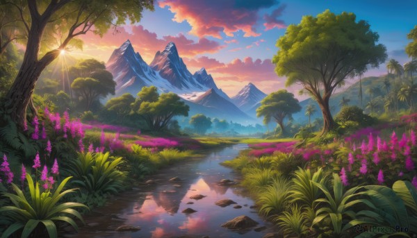 A landscape captured beautifully in a dynamic sunset outdoors
