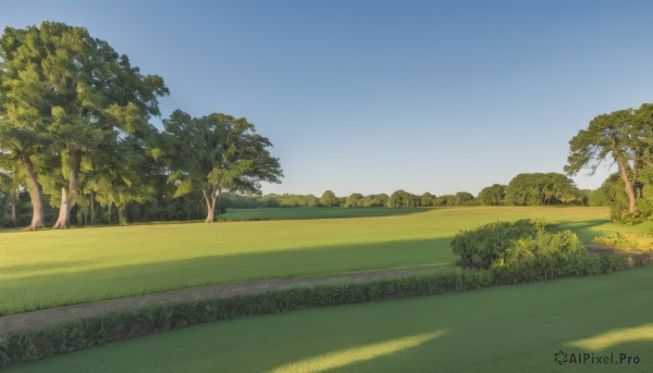 outdoors,sky,day,tree,blue sky,no humans,shadow,grass,nature,scenery,forest,road,field,landscape,path,hill,cloud,bush