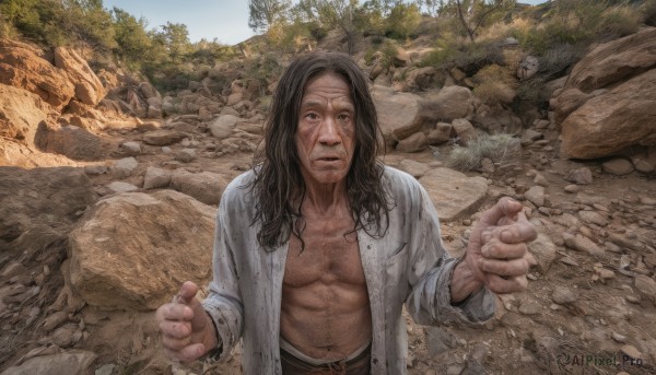 solo,long hair,looking at viewer,open mouth,brown hair,shirt,black hair,long sleeves,1boy,navel,white shirt,male focus,outdoors,open clothes,day,belt,tree,open shirt,facial hair,scar,rock,realistic,mustache,blue eyes,abs,nature,beard,stubble,dirty