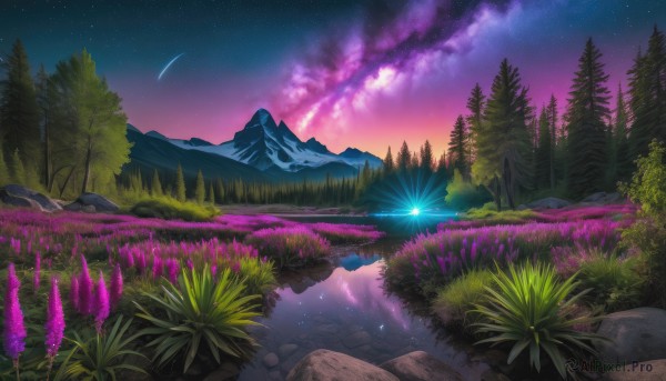 flower, outdoors, sky, cloud, water, tree, no humans, night, grass, star (sky), nature, night sky, scenery, forest, starry sky, reflection, rock, mountain, landscape, shooting star