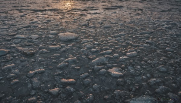 The charm of a unique subject in a scenic outdoors
