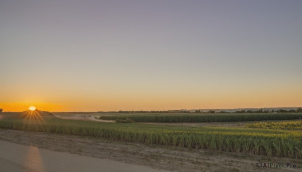 A landscape set against the backdrop of a serene sunset outdoors