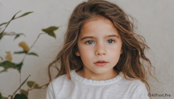 1girl,solo,long hair,looking at viewer,blue eyes,simple background,brown hair,shirt,white shirt,upper body,parted lips,grey background,blurry,sweater,lips,grey eyes,leaf,plant,messy hair,portrait,freckles,realistic,nose,white sweater,flower,traditional media,expressionless