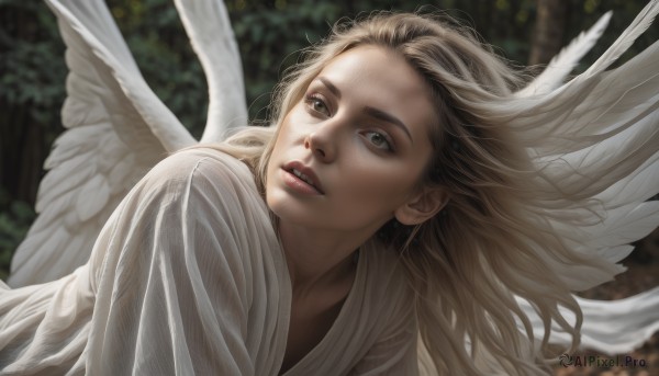 A serene outdoors featuring a female