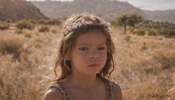 1girl,solo,long hair,looking at viewer,brown hair,bare shoulders,brown eyes,closed mouth,upper body,flower,outdoors,day,artist name,signature,blurry,lips,depth of field,blurry background,portrait,veil,freckles,mountain,realistic,head wreath,field,dress,sky,tree,nature,wheat