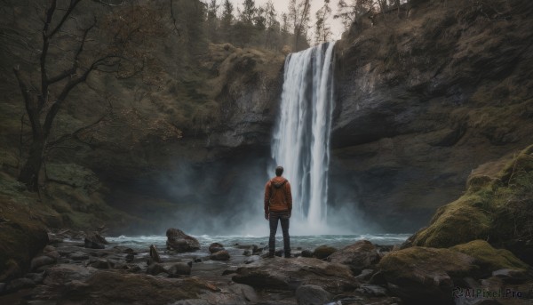 solo, black hair, 1boy, standing, jacket, male focus, outdoors, pants, hood, water, from behind, tree, nature, scenery, forest, rock, waterfall