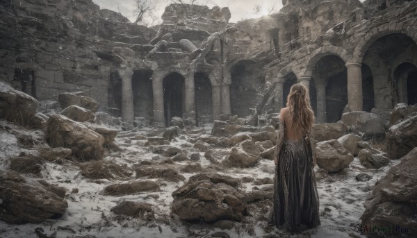 1girl,solo,long hair,skirt,blonde hair,brown hair,dress,bare shoulders,standing,outdoors,detached sleeves,water,from behind,black dress,tree,bird,back,scenery,snow,rock,facing away,bare back,ruins,bare tree,breasts,veil,backless outfit,long dress,backless dress,wide shot,arch,rubble