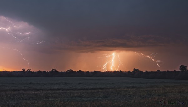 outdoors,sky,cloud,tree,no humans,cloudy sky,grass,nature,scenery,forest,sunset,electricity,lightning,bird,field,evening,landscape