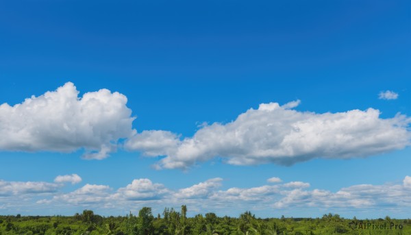 A landscape portrayed in a refreshing day