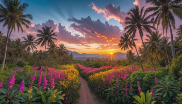 flower, outdoors, sky, cloud, tree, dutch angle, no humans, sunlight, cloudy sky, grass, plant, nature, scenery, sunset, palm tree, sun, horizon