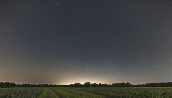 outdoors,sky,cloud,tree,no humans,night,grass,star (sky),nature,night sky,scenery,forest,starry sky,sunset,field,landscape,hill,star (symbol)