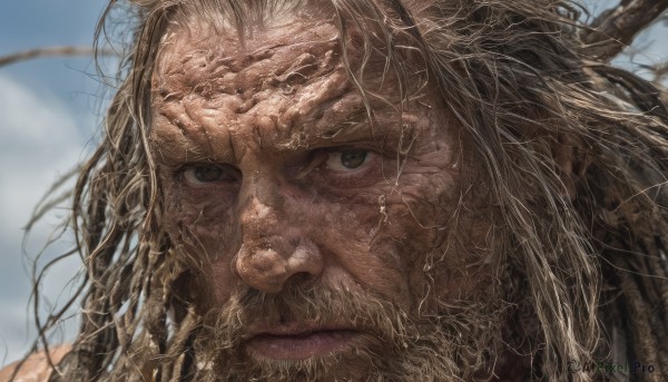 solo,long hair,looking at viewer,brown hair,1boy,brown eyes,closed mouth,male focus,outdoors,sky,day,blurry,blue sky,blurry background,facial hair,portrait,beard,close-up,realistic,mustache,old,old man,cloud,lips,messy hair,branch