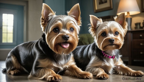 HQ,blue eyes,tongue,indoors,tongue out,blurry,collar,no humans,window,depth of field,blurry background,animal,dog,realistic,lamp,animal focus,looking at viewer,brown eyes,closed mouth,lying,black eyes,reflection,animal collar