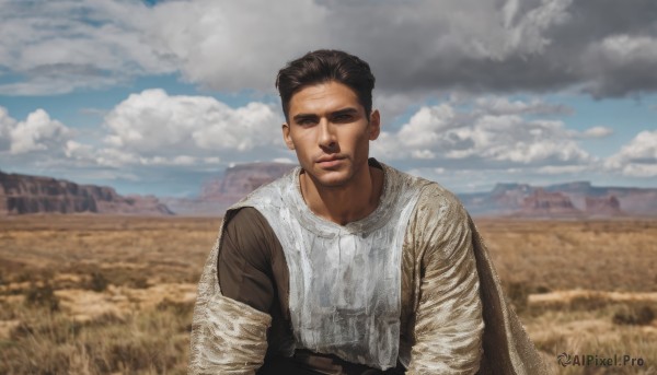 solo,looking at viewer,brown hair,black hair,1boy,closed mouth,closed eyes,upper body,male focus,outdoors,sky,day,belt,cloud,cape,armor,blurry,blue sky,facial hair,cloudy sky,facing viewer,realistic,mustache,manly,field,real life insert,chainmail,short hair,shirt,long sleeves,white shirt,parody,grass,brown cape