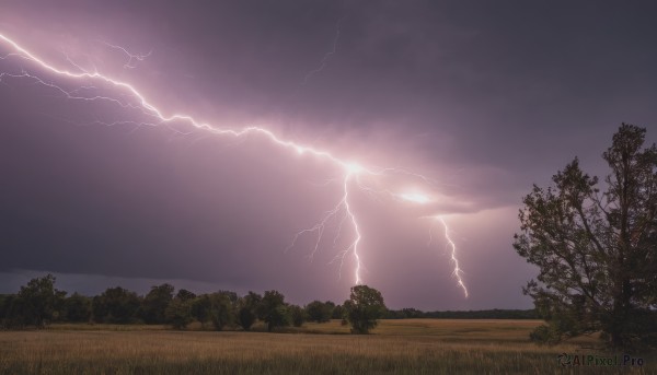 outdoors,sky,cloud,tree,no humans,cloudy sky,grass,nature,scenery,forest,mountain,electricity,lightning,landscape,night,horizon,field