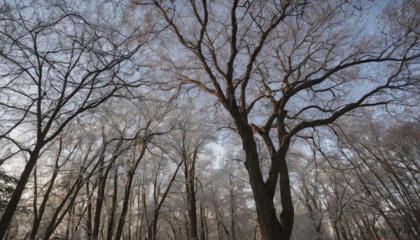 A inspiring view of a landscape in day