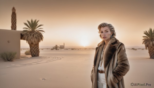 1girl,solo,looking at viewer,short hair,blue eyes,blonde hair,shirt,long sleeves,jewelry,closed mouth,standing,jacket,white shirt,grey hair,cowboy shot,earrings,outdoors,parted lips,open clothes,sky,belt,pants,water,necklace,tree,lips,coat,fur trim,ocean,beach,sunset,open coat,brown jacket,realistic,hands in pockets,sand,palm tree,brown coat,desert,brown hair,brown eyes,makeup,scenery,sun,brown belt