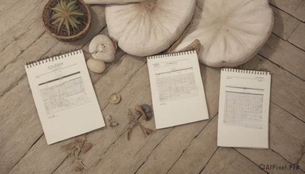 food,indoors,no humans,fruit,bird,animal,from above,table,plant,scenery,wooden floor,paper,pencil,food focus,still life,wooden table,hat,lying,pillow,book,pen,cushion