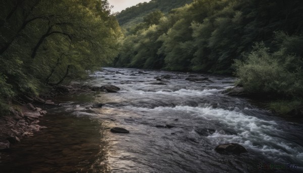 outdoors,day,water,tree,no humans,sunlight,nature,scenery,forest,light rays,rock,river,landscape,stream,sky,cloud,grass,shore