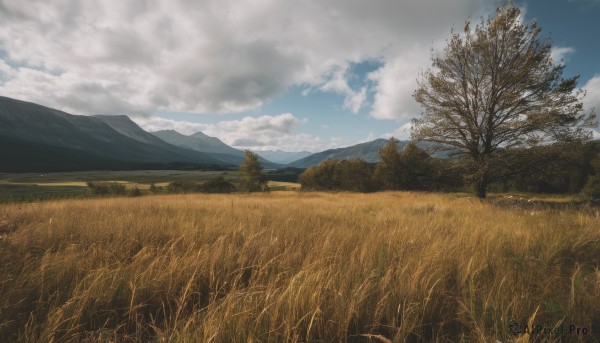 outdoors,sky,day,cloud,tree,blue sky,no humans,cloudy sky,grass,nature,scenery,forest,mountain,field,landscape,mountainous horizon,hill