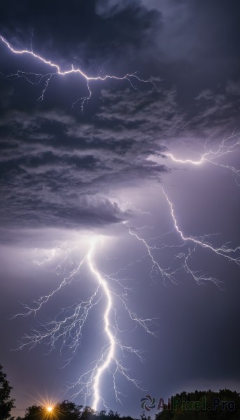 A glimpse of a lightning in a lush outdoors