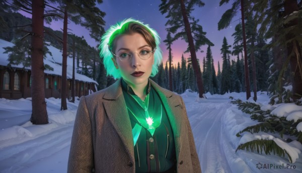 1girl,solo,looking at viewer,short hair,brown hair,shirt,jewelry,closed mouth,green eyes,jacket,upper body,multicolored hair,outdoors,green hair,open clothes,sky,glasses,necklace,two-tone hair,tree,lips,coat,makeup,night,glowing,star (sky),nature,snow,forest,starry sky,brown jacket,crystal,round eyewear,green shirt,red lips,winter,brown coat,bare tree,pine tree,black hair,earrings,lipstick