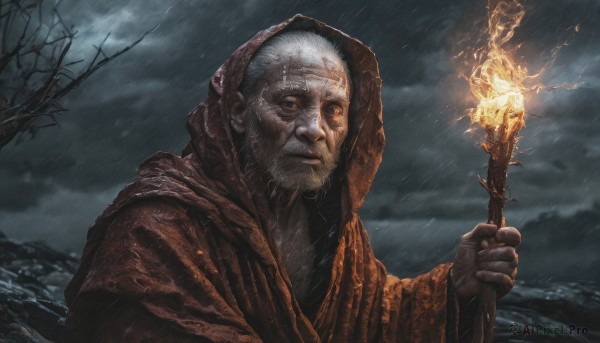 solo,looking at viewer,1boy,holding,upper body,white hair,male focus,outdoors,sky,cloud,signature,hood,tree,wet,facial hair,cloudy sky,fire,staff,beard,hood up,rain,robe,realistic,holding staff,old,old man,bare tree,lightning,old woman,wizard,smile,long sleeves,closed mouth,water,grey eyes,fantasy,magic,torch