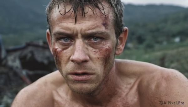 solo,looking at viewer,short hair,black hair,1boy,male focus,outdoors,parted lips,blurry,black eyes,grey eyes,blood,blurry background,facial hair,scar,portrait,injury,blood on face,realistic,stubble,dirty,brown hair,closed mouth,nude,wet,muscular,beard,close-up,wet hair