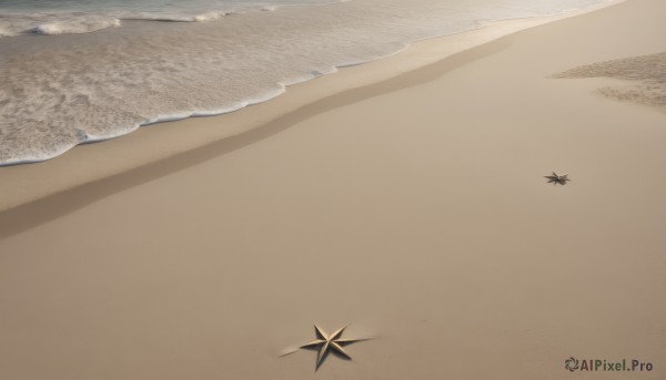 outdoors,day,water,star (symbol),pokemon (creature),no humans,ocean,beach,scenery,sand,shore,desert,footprints,shadow,leaf,waves,starfish