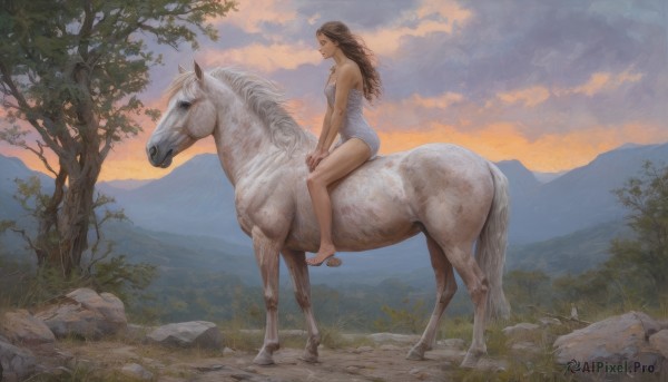 A female captured in a tranquil sunset outdoors