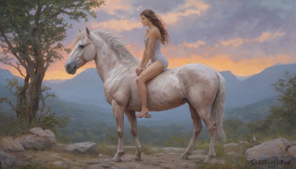 1girl,solo,long hair,breasts,brown hair,dress,bare shoulders,sitting,outdoors,sky,barefoot,cloud,white dress,from side,tree,bare arms,bare legs,profile,animal,sandals,grass,nature,scenery,forest,sunset,rock,mountain,riding,wide shot,horse,horseback riding,leotard,strapless,cloudy sky,landscape,saddle