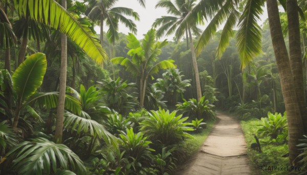 outdoors,day,tree,no humans,leaf,sunlight,grass,plant,nature,scenery,forest,palm tree,bush,shade,artist name,signature,light rays,road,path