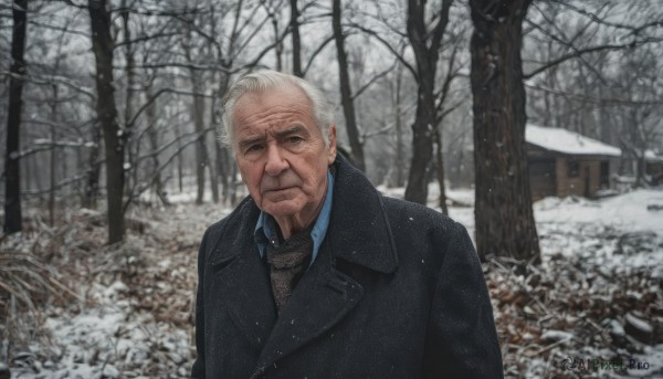 solo,looking at viewer,shirt,1boy,closed mouth,jacket,upper body,white hair,grey hair,male focus,outdoors,necktie,collared shirt,tree,coat,black jacket,facial hair,formal,suit,blue shirt,nature,black necktie,beard,snow,forest,black coat,snowing,realistic,mustache,old,winter,old man,bare tree,photo background,brown necktie,wrinkled skin,long sleeves,day,scarf,blurry,grey eyes,expressionless,scenery,manly,house